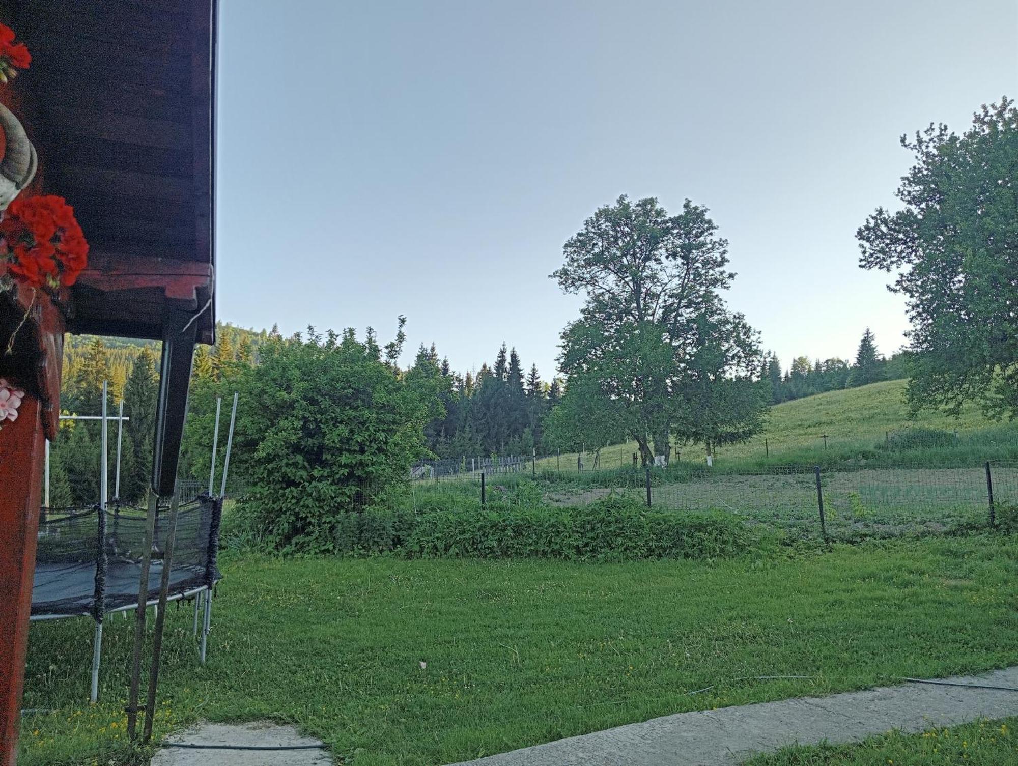 Hostal Casa Vasy Vatra Dornei Exterior foto