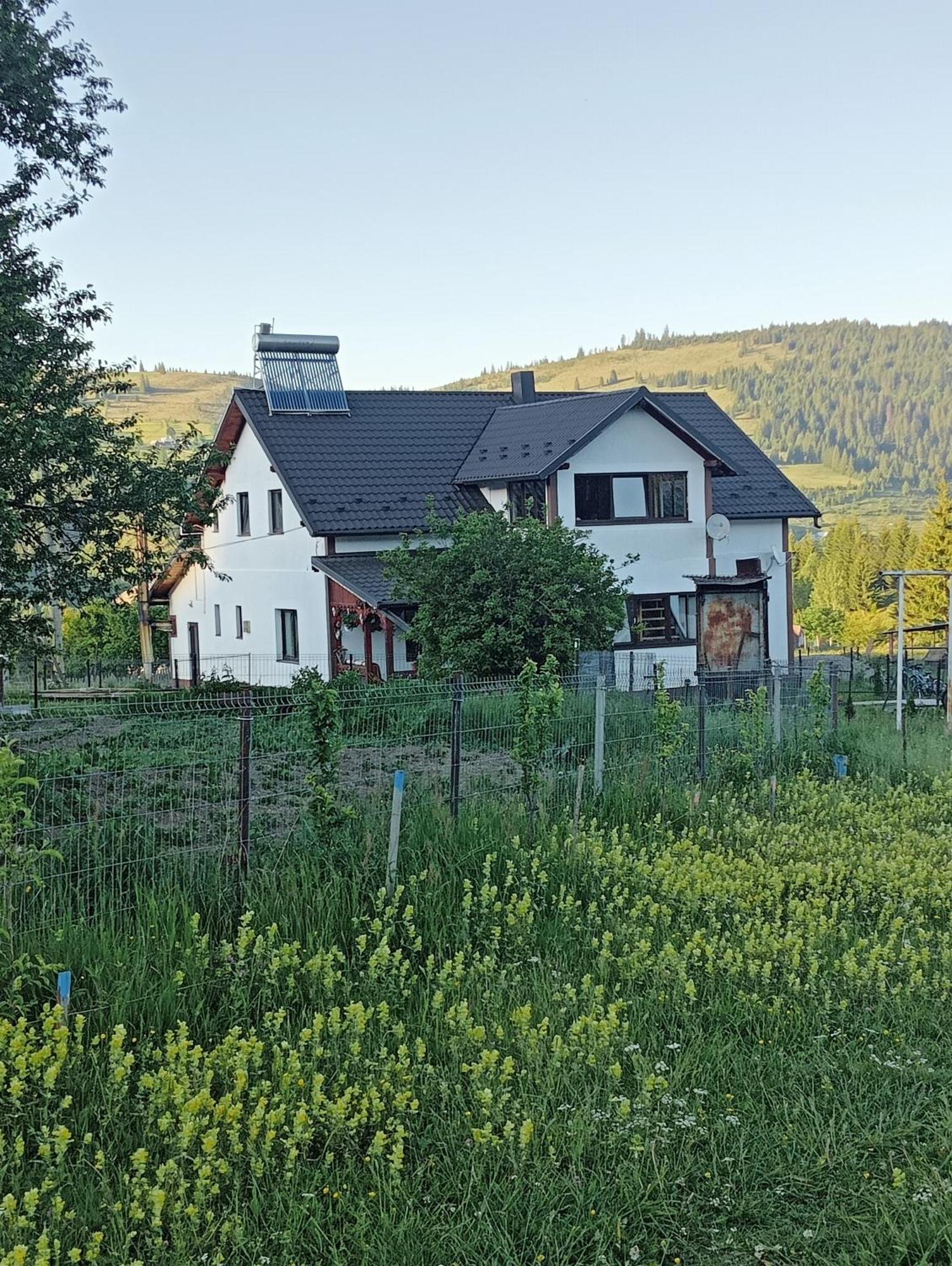 Hostal Casa Vasy Vatra Dornei Exterior foto